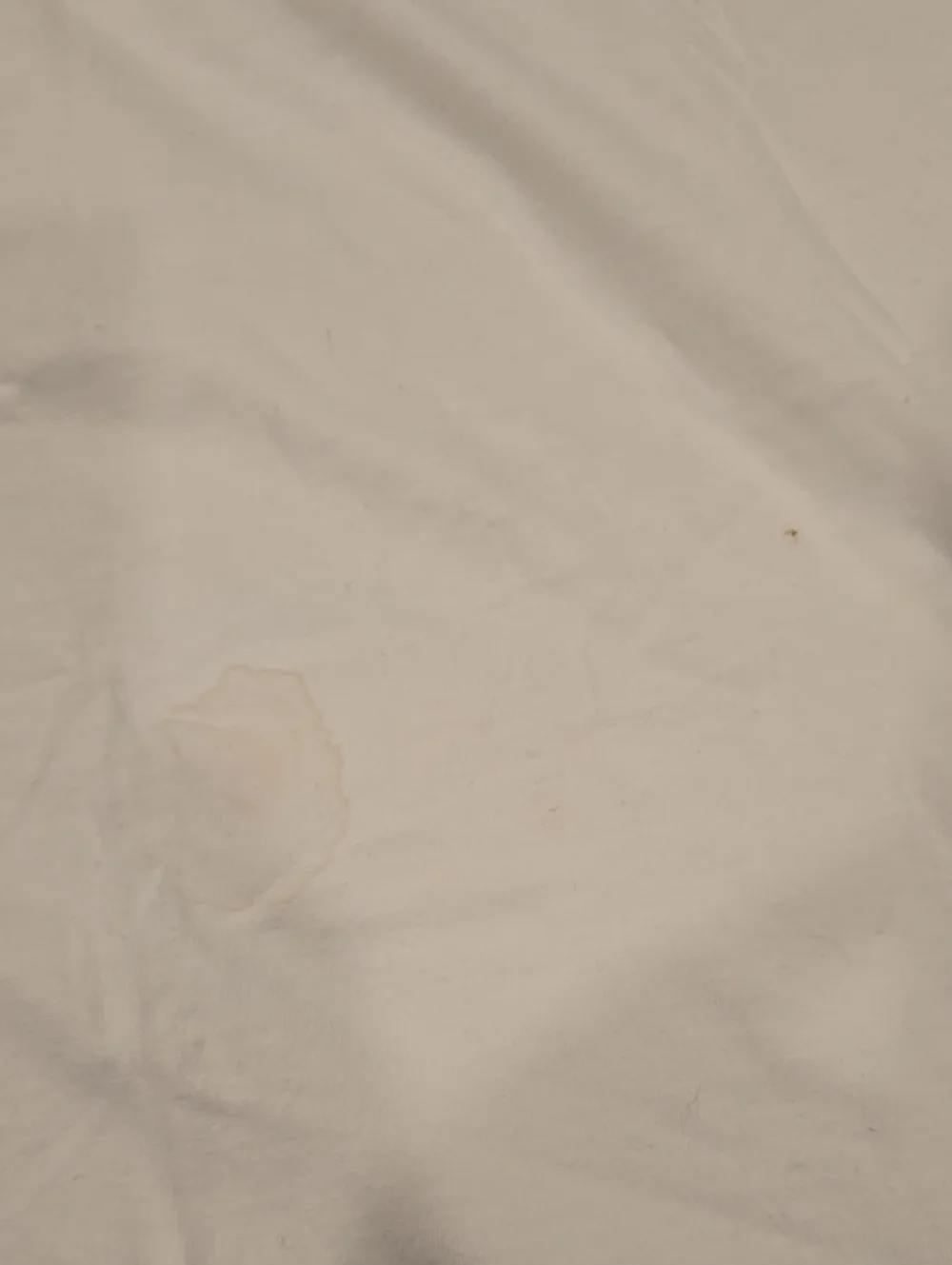 ❤️10/$13 Nwot Bdg Urban Outfitters Shirt READ